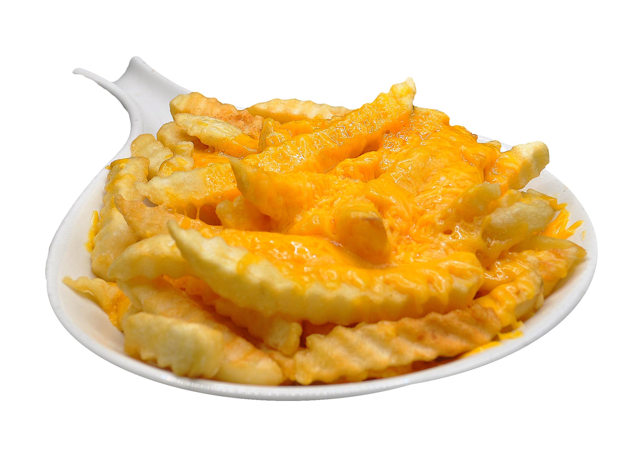 Cheese Fries